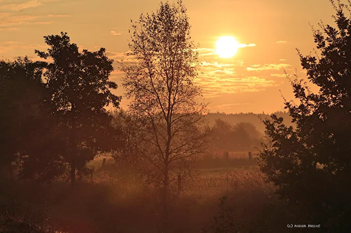 Sun landscape