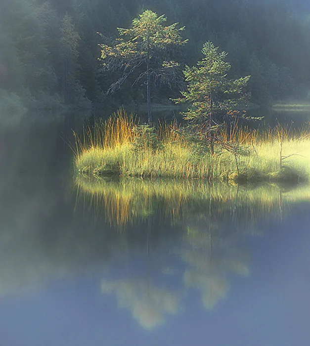 SCHWIMMENDE INSEL