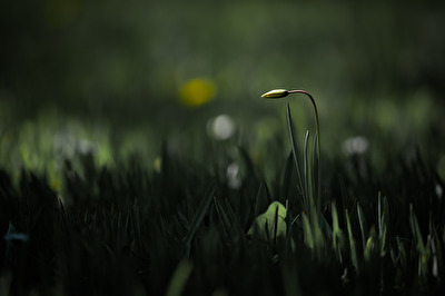 Spiel mit Licht und Schatten