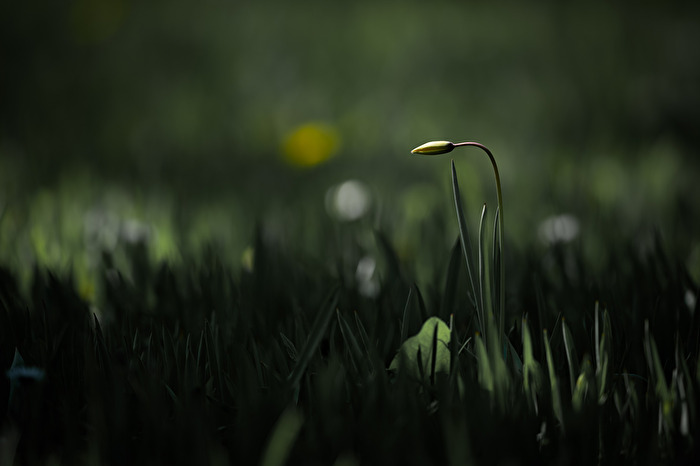 Spiel mit Licht und Schatten