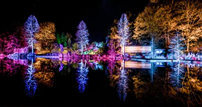 Waldsee