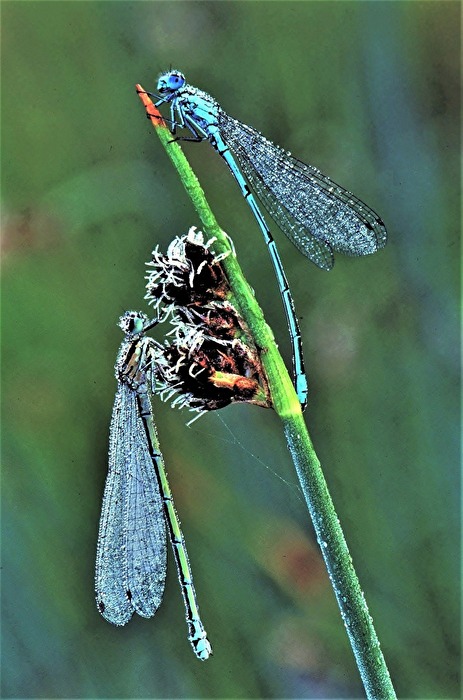 " Frierst Du auch so ? "