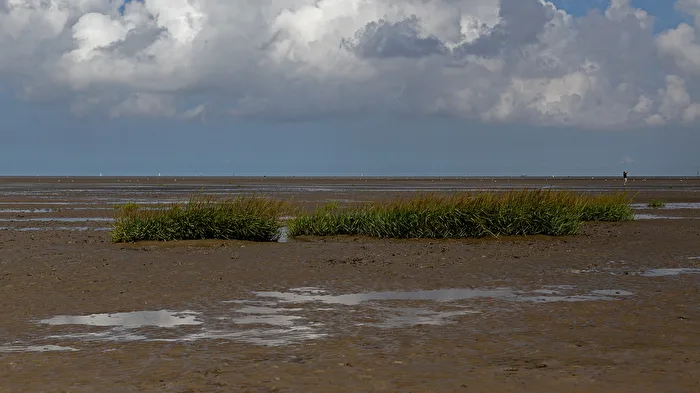 Nordsee nach langer Zeit mal einen Abstecher