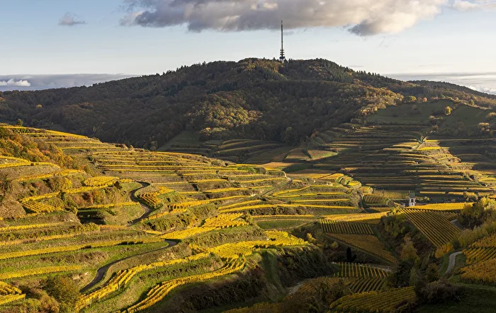 Autumn in Kaiserstuhl