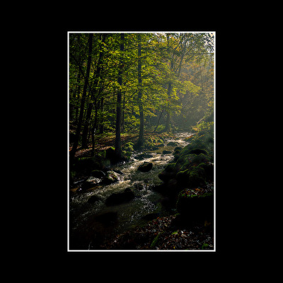 Bachlauf im herbstlichen Bayerischen Wald