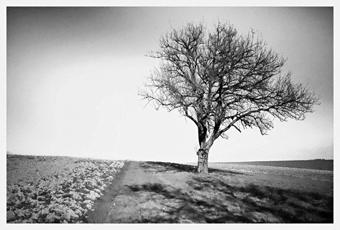Minimalismus