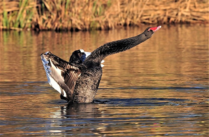 " Abflug folgt "