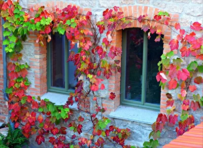 bunt eingerahmt 2