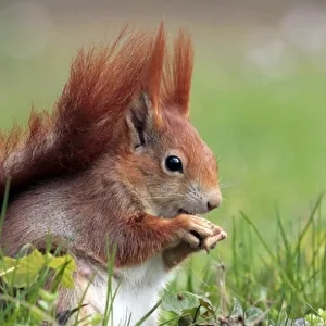 Profilfoto