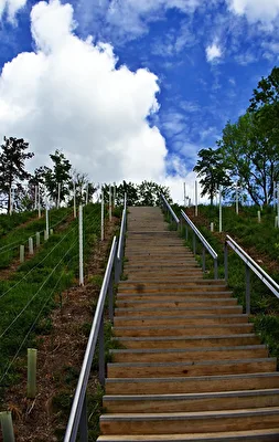Die Treppe am Weinberg