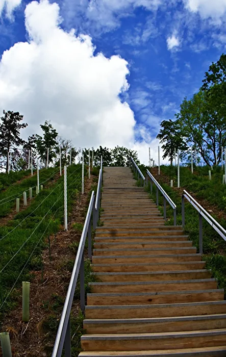 Die Treppe am Weinberg
