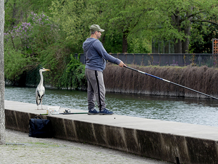 Fängst Du nun mal bald was