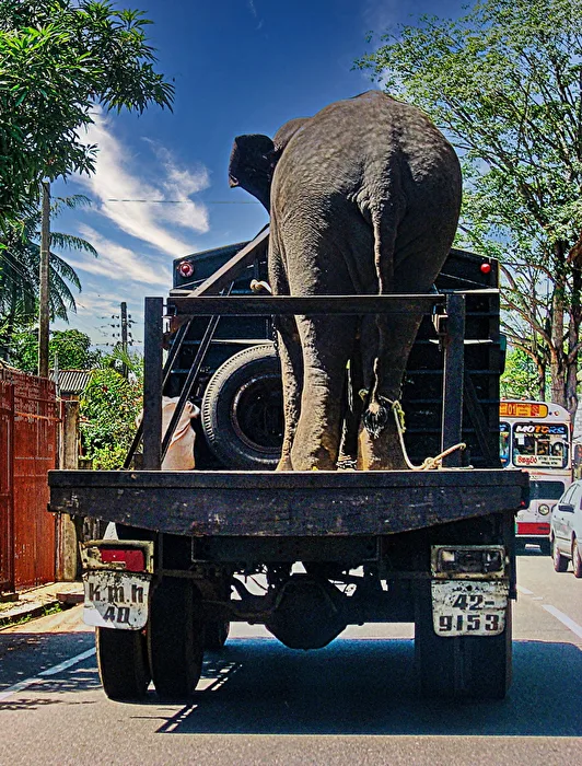 Schwertransport