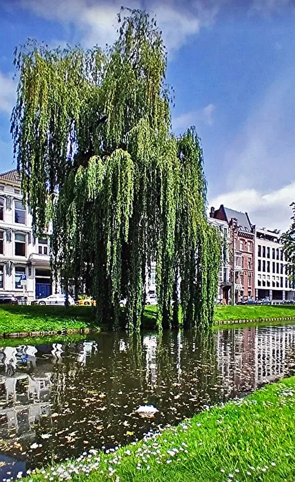 Singelgracht