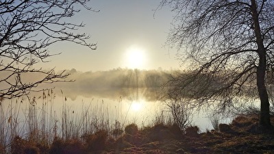 Nebel über dem Ottermeer in Wiesmoor/Ostfriesland