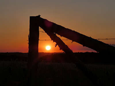 Hinter'm Zaun