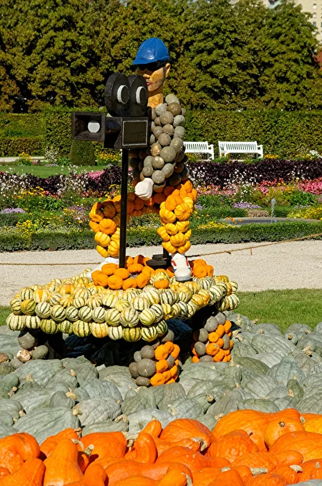 Cameraman