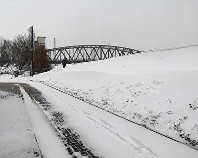 Elbdeich