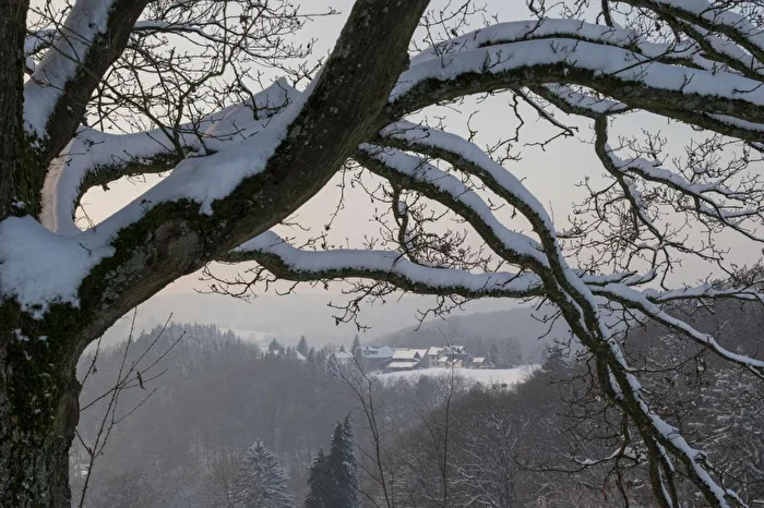 Dorf im Wald
