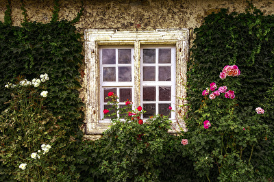 Das Rosenfenster