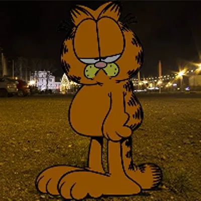 Profilfoto