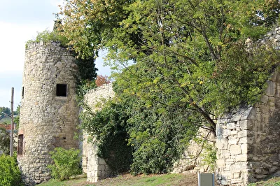 Die alte Stadtmauer