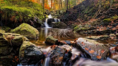 Moorwasser