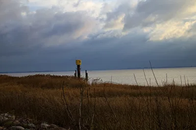 Die Elbe bei Brokdorf