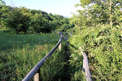 Wanderweg bei den Toten Tälern