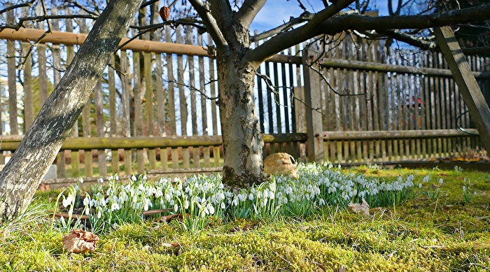 Vorfrühling im Vogtland