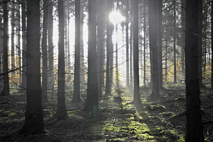 Illuminated by the sun...