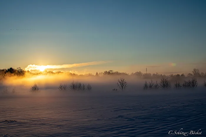 Wintersonne