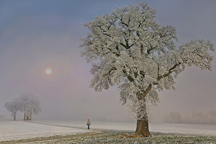 Morgenspaziergang