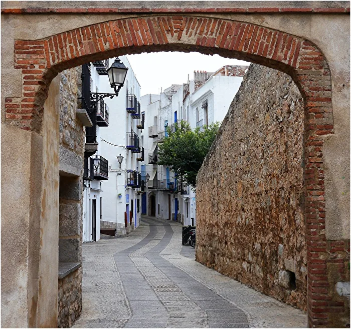 Portal de la Saug