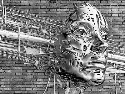 Gynoid