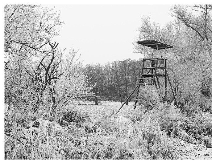 Hochsitz im Winter.