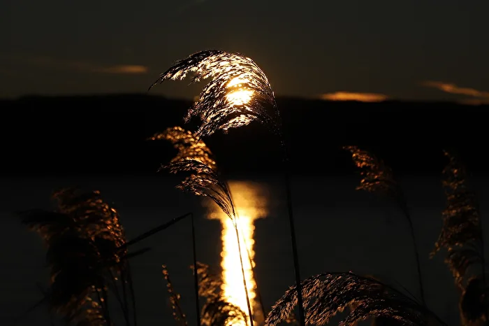 Sonnenaufgangsexperiment