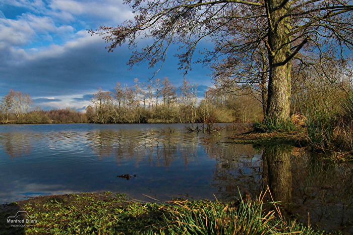 Stille