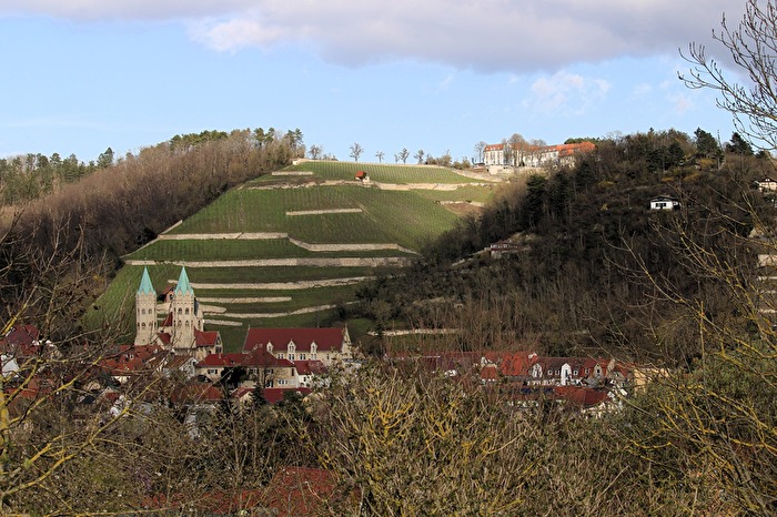 Freyburg (Unstrut)
