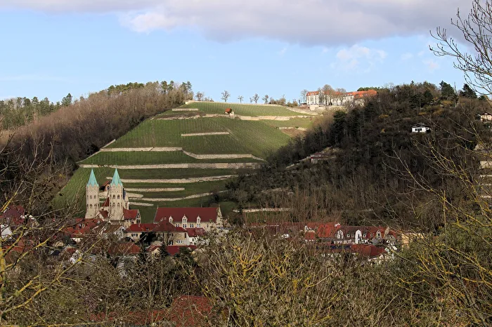 Freyburg (Unstrut)