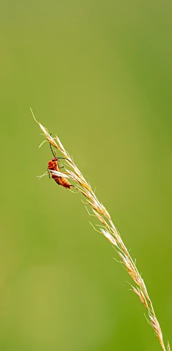 Auf nen Sprung....