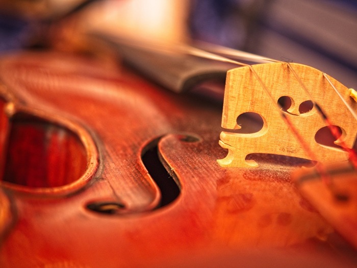 Violine 1