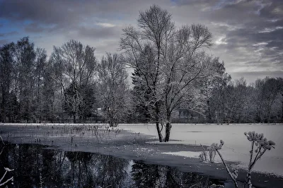ohne Titel