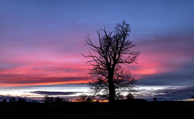 schöner Abendspaziergang heute