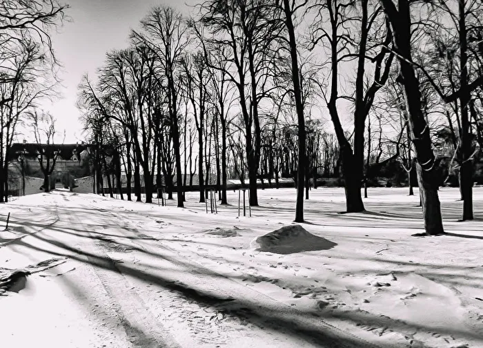Lange Schatten
