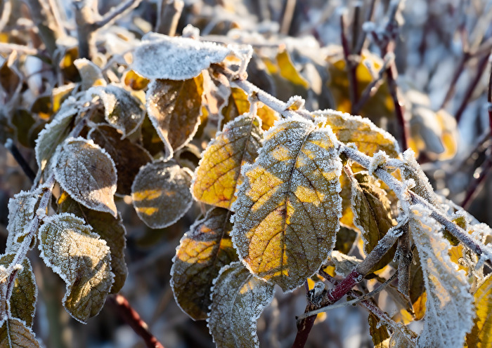 ein bisschen Winter letzte Woche...