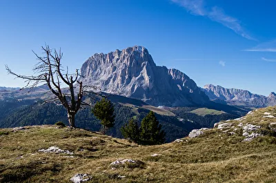Langkofel