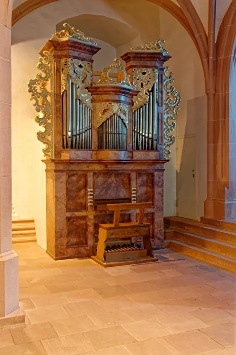 Organ