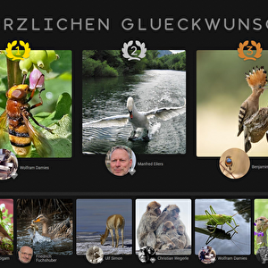 Concours photo améliorés