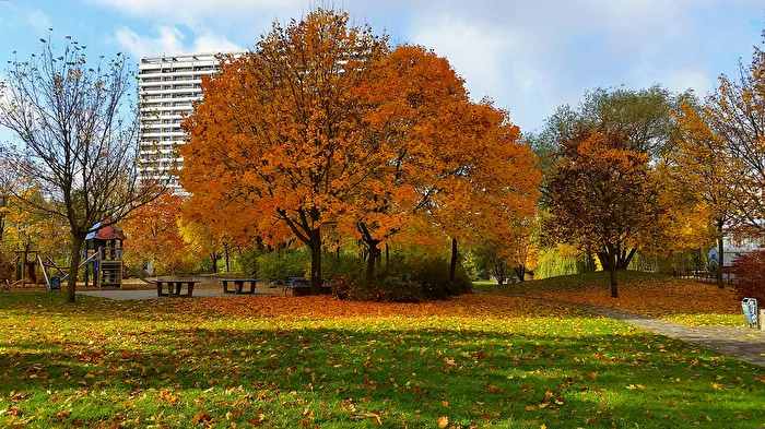 Autumn in the Park
